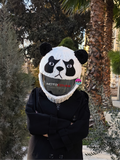 kungfu panda